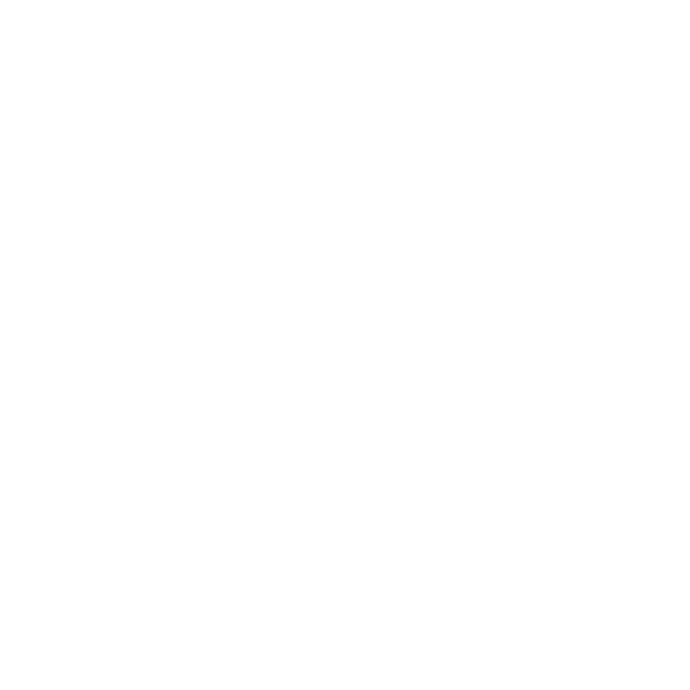 Truck Icon